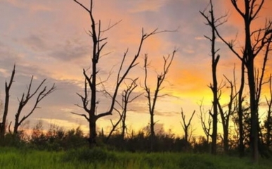 生物质能资源数据库信息系统 赋能绿色能源发展的数字基石