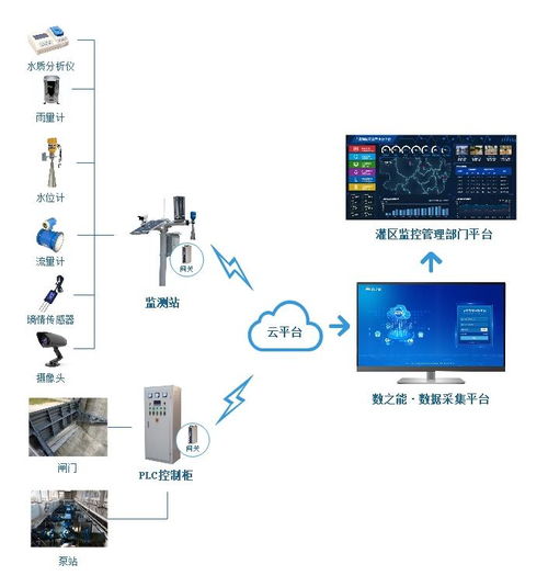 物联网技术赋能农业 构建生物质能资源数据库信息系统的新篇章